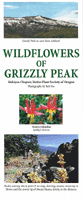 Grizzly Peak 1